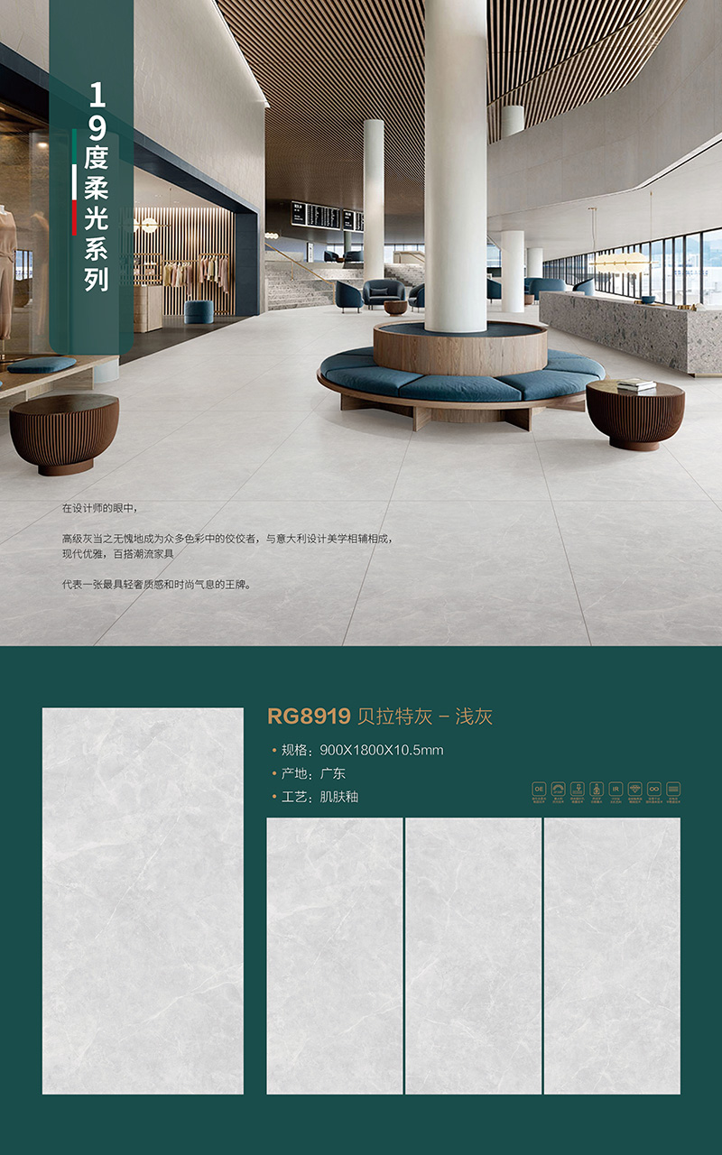 RG8919-排版图.jpg